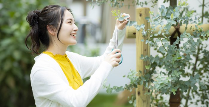 女性　ガーデニング　写真